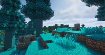 Cyan pine forest