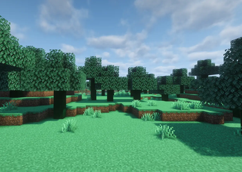 Emerald oak forest