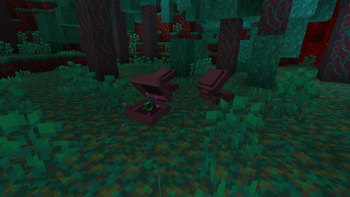Enderclams