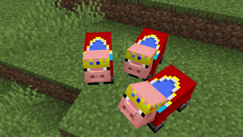 Pig