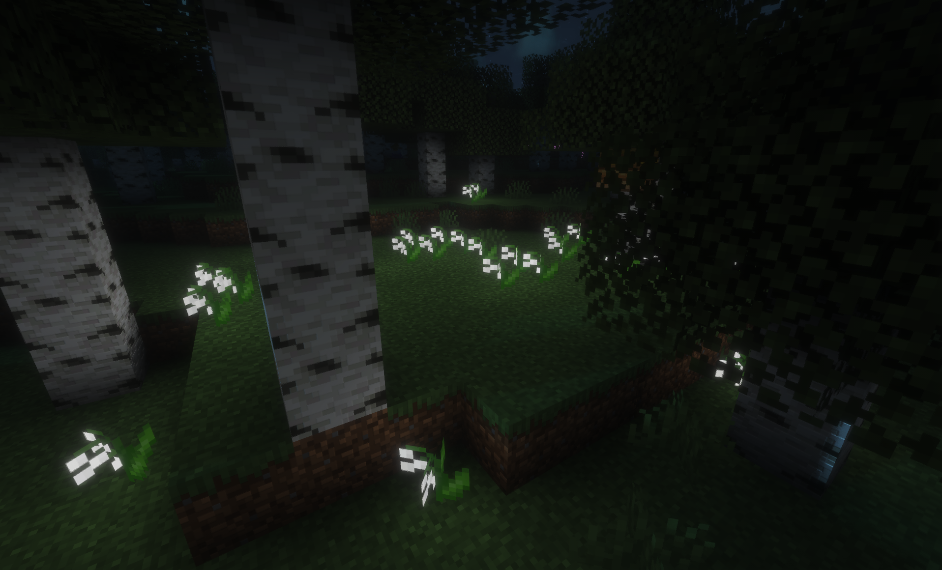 A flower patch