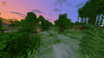 Jungle