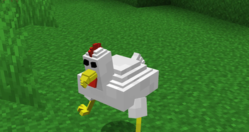 Chicken Hat on the ground