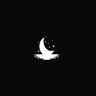 Lunar Optimized logo