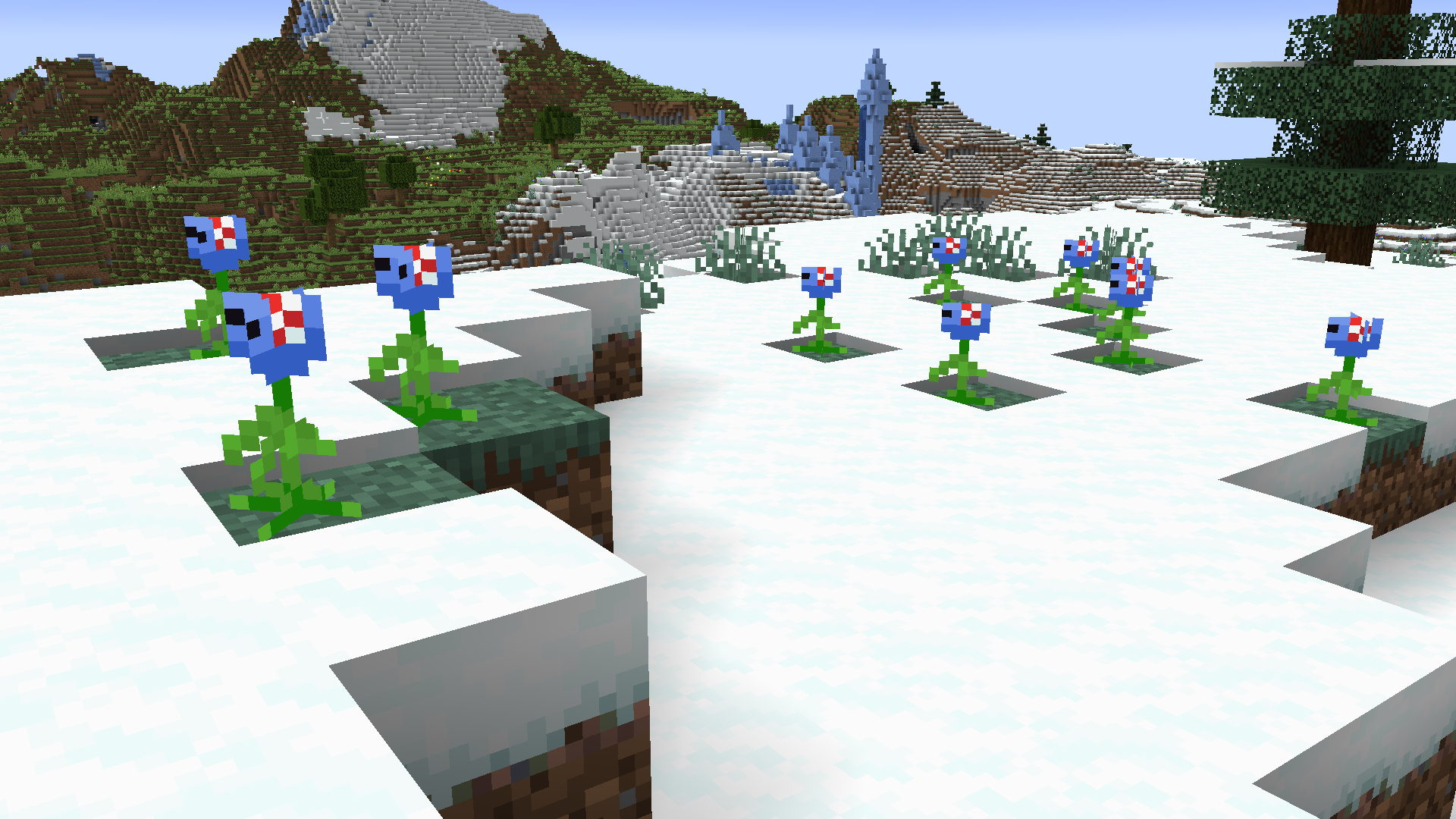 Flower Patch in Snowy Plains