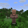 Funny Villagers