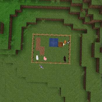 Fenced in Baby Animals