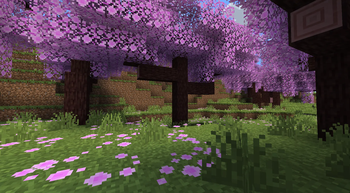The Cherry Forest