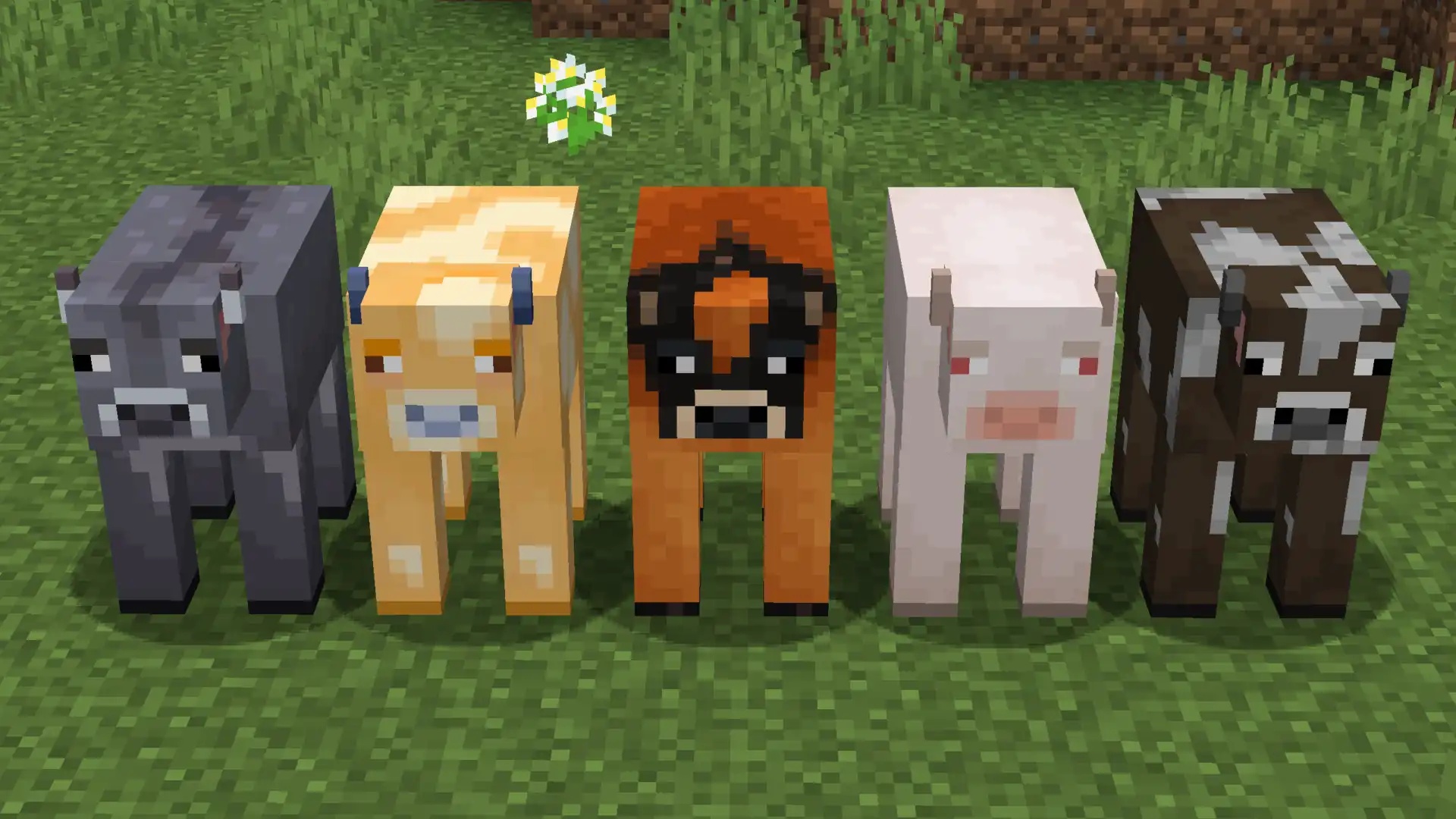 Различные коровы