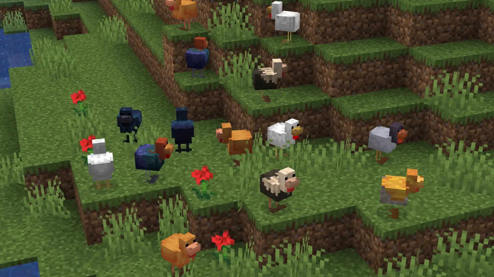 Вариантные курицы