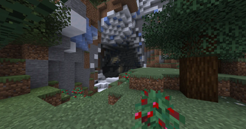 Enter Snowy Region Cave