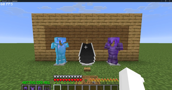 Armor and Elytra