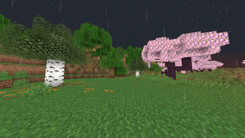 preview of vibrant rain!