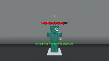 Invisibility Rendering enabled
