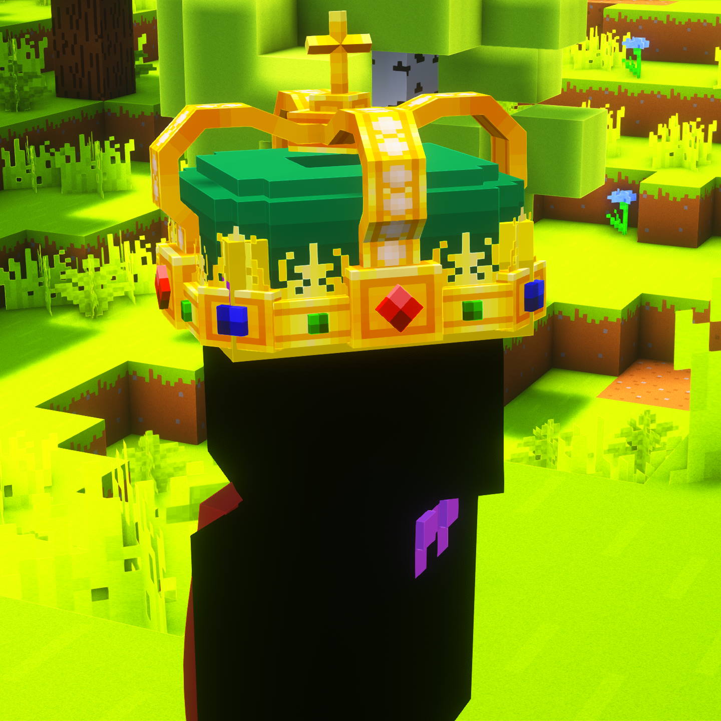 Player with crown