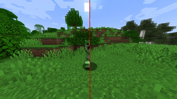 Creeper