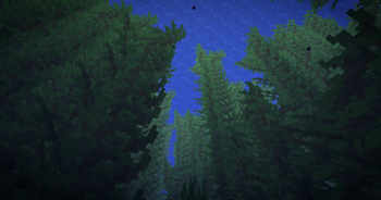 Kelp From Bellow