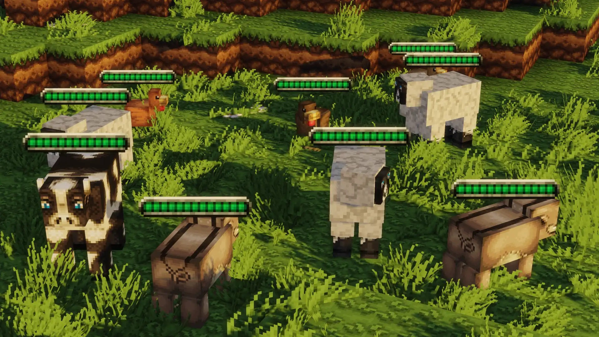 Farm Animals