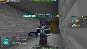 Blue Hearts, Blue Sword, Custom Totem, Blue Axe, and Blue Pickax