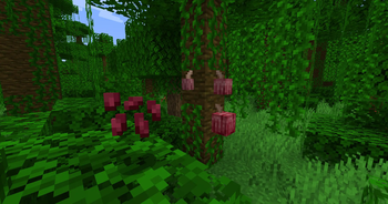 Create: Confectionery+ — screenshot 4