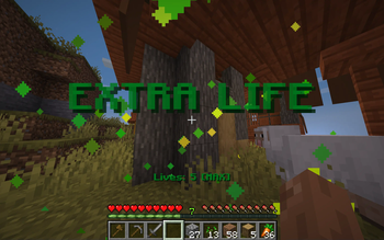 Extra Life Screen