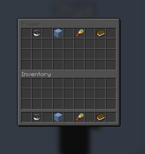 Invsee
