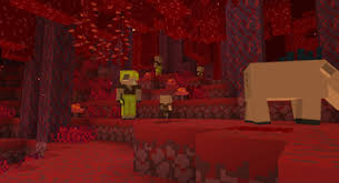 Nether