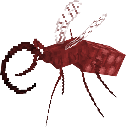 Phayriosis Parasite Infection