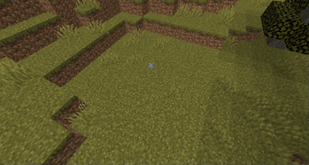 Copper Pebble on the Surface