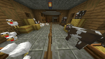 Farm Animals