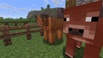 2D new cow
