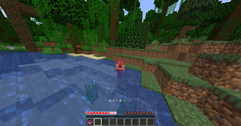 When you get in the water
