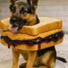 PBNJ Doggos