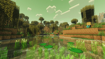 Swamp
