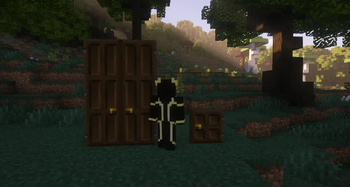 Doors for Different Sized Friends