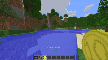Coins