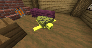 Turtle