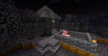 A small Tuph hut in a Tuph forest 