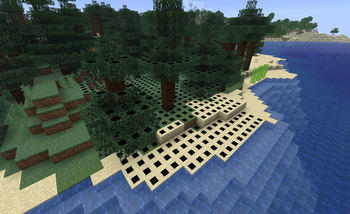 Forceloaded chunk overlay