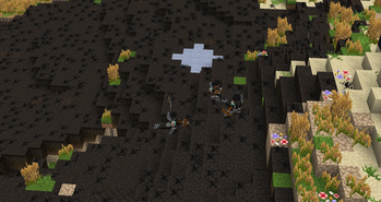 The Locals