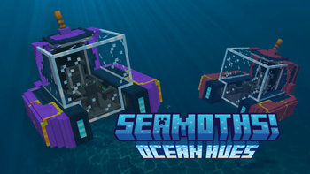 Ocean Hues Banner