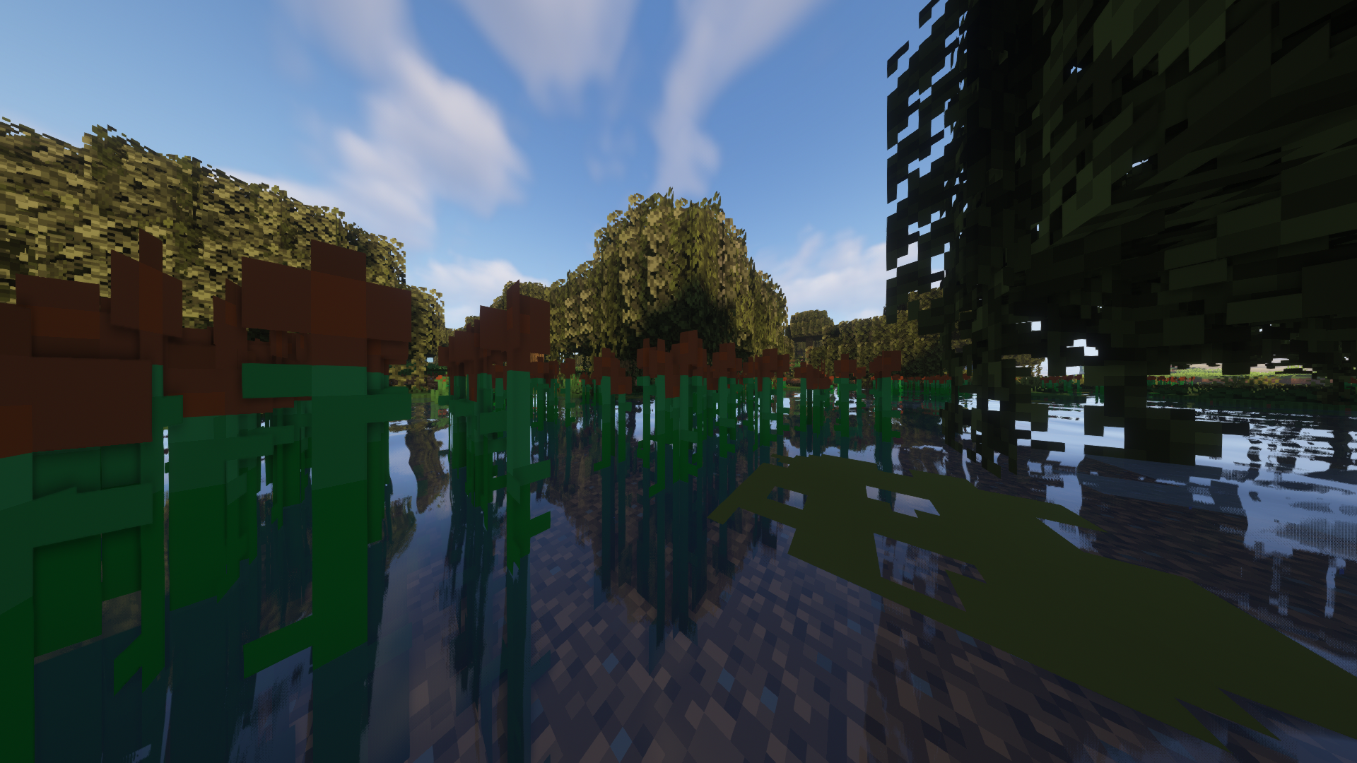 Swamps also got an overhaul