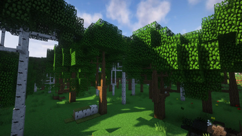Forest With Dynamic Trees
