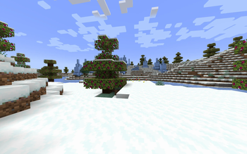 Pomegranate Tree