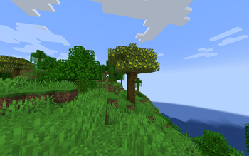 Pineapple Tree