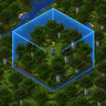 World Expands