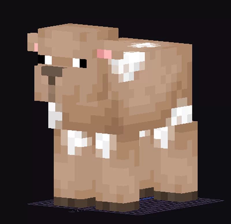 Sheared sheep