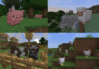 Animals