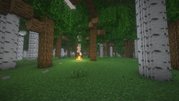 Improved Forest Generation