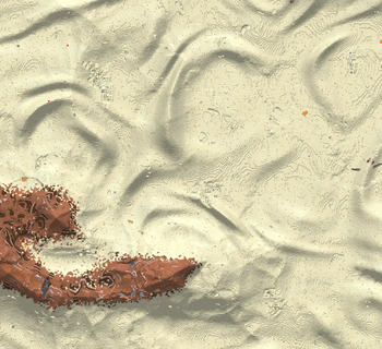 v1.0.1 Desert